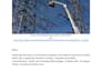 write quality SEO website content and engaging blog post articles